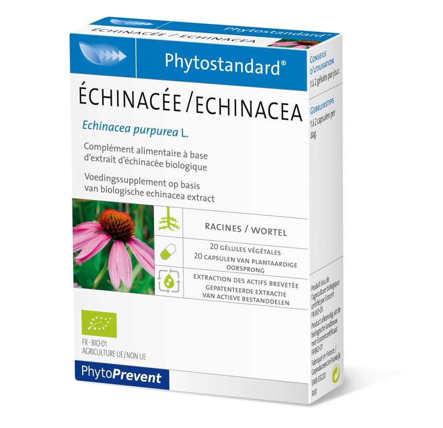 Phytostandard Echinacea